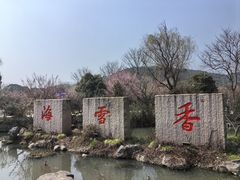 -香雪海
