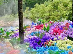 -洛阳白云山景区