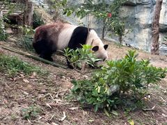 -泉州海丝野生动物世界