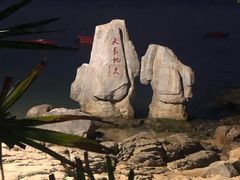 -大梅沙海滨公园