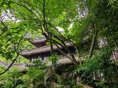 -天一阁博物院