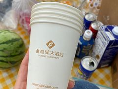 -苏州金鸡湖大酒店