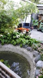 -爱儿美儿童摄影(朝阳公园店)