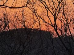 -普陀山慧济禅寺