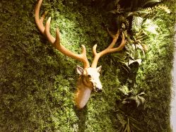 -V-STAR威斯达•高级私人定制