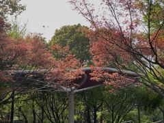 -无锡动物园·太湖欢乐园