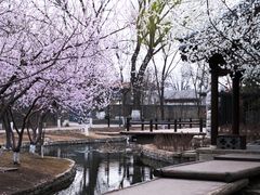 -三里河公园