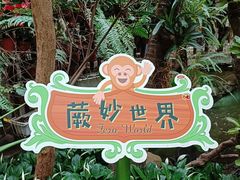 -正佳雨林生态植物园