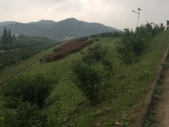 -金孔雀温泉旅游度假村