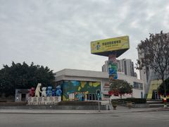 -成都泰迪熊博物馆