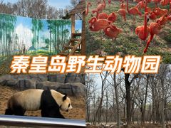 -秦皇岛野生动物园
