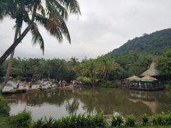 -呀诺达热带雨林