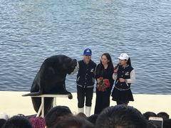 -秦皇岛乐岛海洋王国