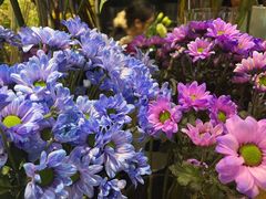 -证大大拇指广场(芳甸路店)