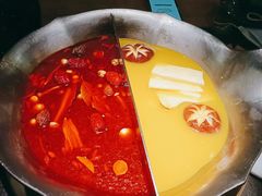 红颜花胶鸡锅-湊湊火锅·茶憩(石家庄万象城店)