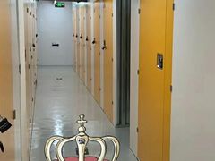 -安东易迷你仓自助寄存仓库(淞虹路店)