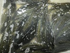 -都江堰石锅鱼