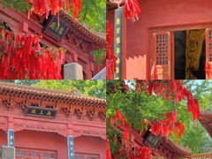 -沂蒙山旅游区云蒙景区(蒙山国家森林公园)