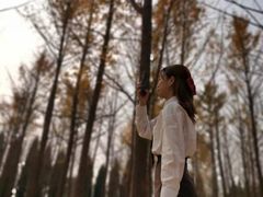 -汉景帝阳陵博物院
