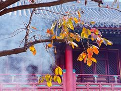 -朝阳公园