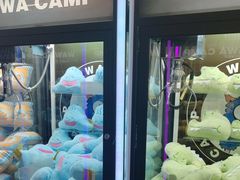-娃娃集合营(上海奉贤龙湖天街店)