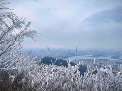 -紫金山山顶公园