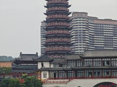 -长兴太湖图影湿地文化园