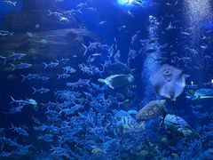 -多彩贵州城极地海洋世界