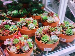 -KKV(深圳宏发大仟里店)