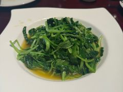 豆苗-松鹤楼(山塘街店)