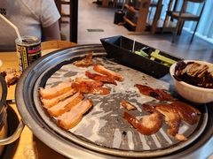 -守柴炉烤鸭(温江新尚天地店)