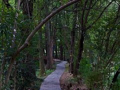 -东湖落雁景区