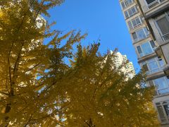 -拾光酒店(北京双井劲松地铁站店)