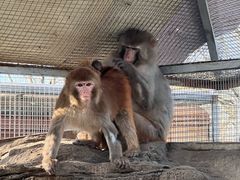 -北京市海淀外国语实验学校