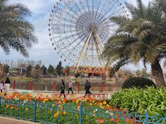 -七彩云南欢乐世界