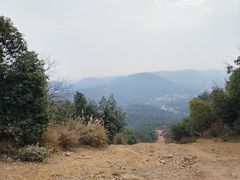 -桃花岭景区