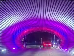 -枫花园汽车电影院(朝阳公园店)