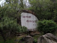 -白水寺森林公园