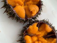 -海胆小馆(东北水饺·春柳店)