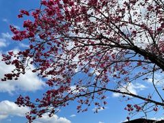 -维乐口腔医院(福清院)