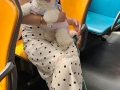 -帕帕拉兹宠物(亚洲旗舰店)