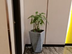 -新侗家食府(蟠桃宫店)