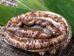 -神戸たん龍(生田新道店)