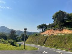 -黄埔油麻山森林公园