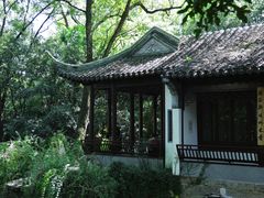 -秋霞圃