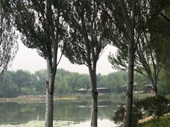 -北坞公园