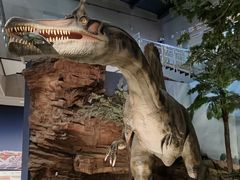 -湖南省地质博物馆