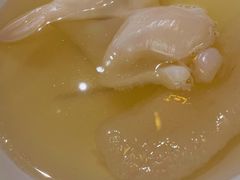 鸡汤海蚌-文儒九号·闽菜馆(三坊七巷店)