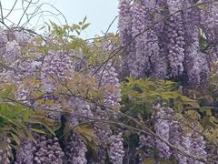 -金稼园·金平湖农家菜
