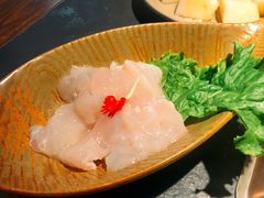 金沙江龙鱼-老牌坊云南鱼豆花火锅(哈西万达店)